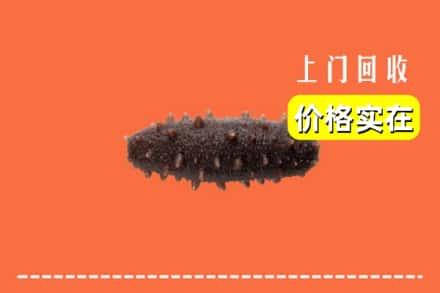 上党区回收海参