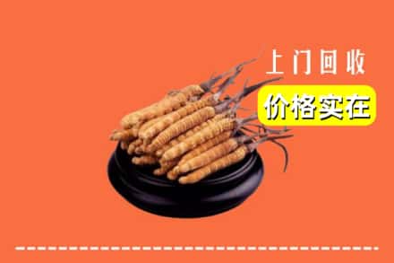 上党区回收冬虫夏草